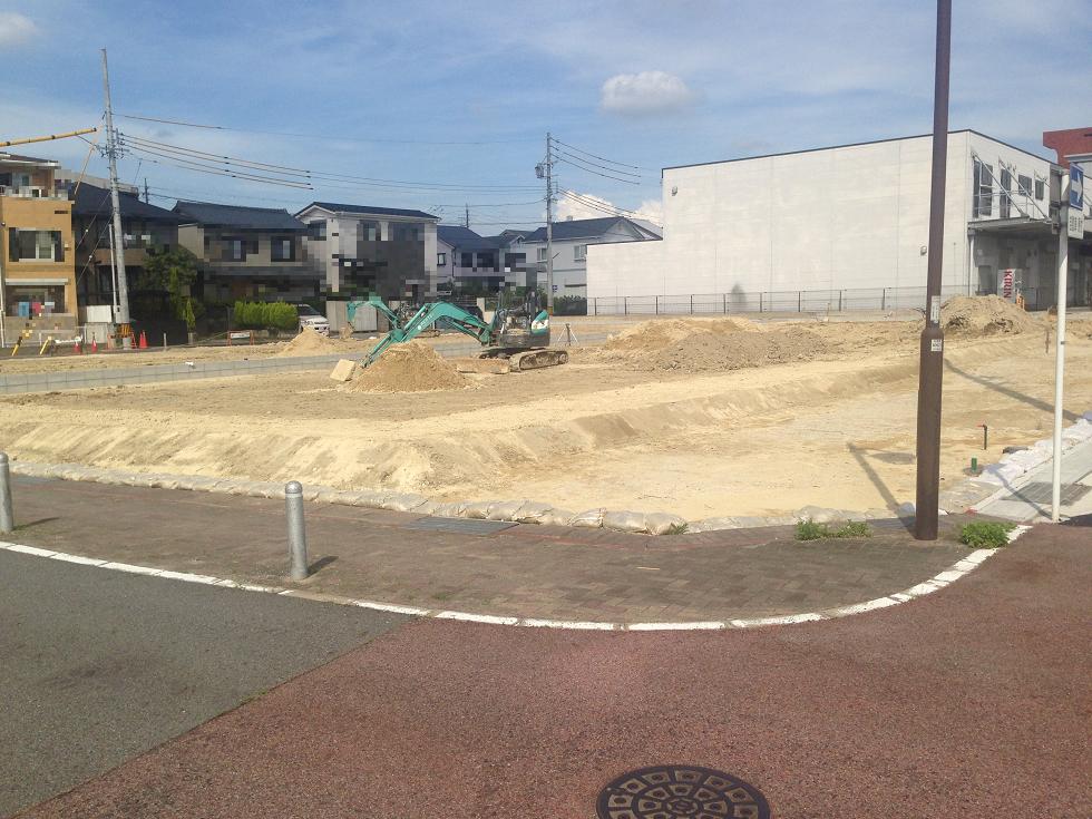 Makinohara 010.jpg